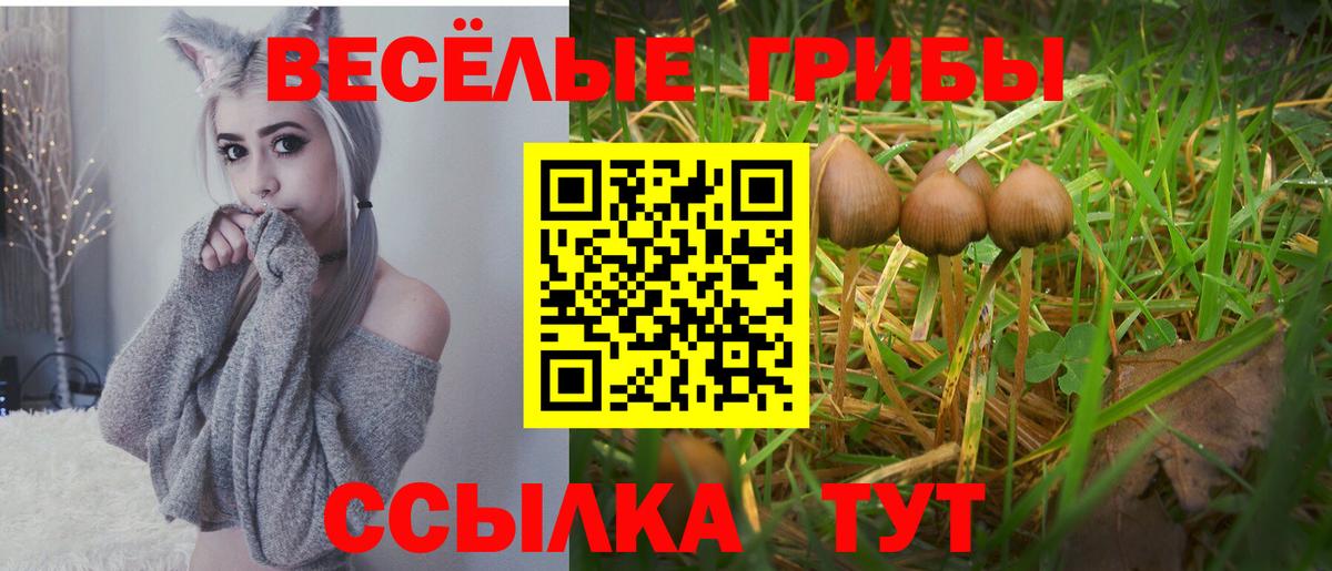 Галлюциногенные грибы Magic Shrooms  Вход с VPN  Калуга 