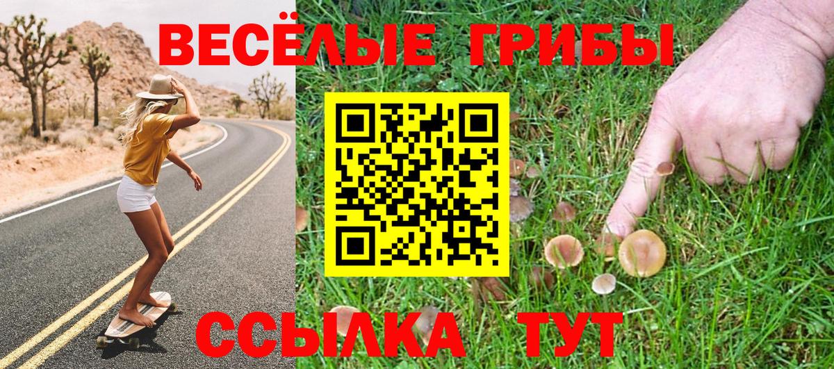 Псилоцибиновые грибы Psilocybine cubensis Калуга