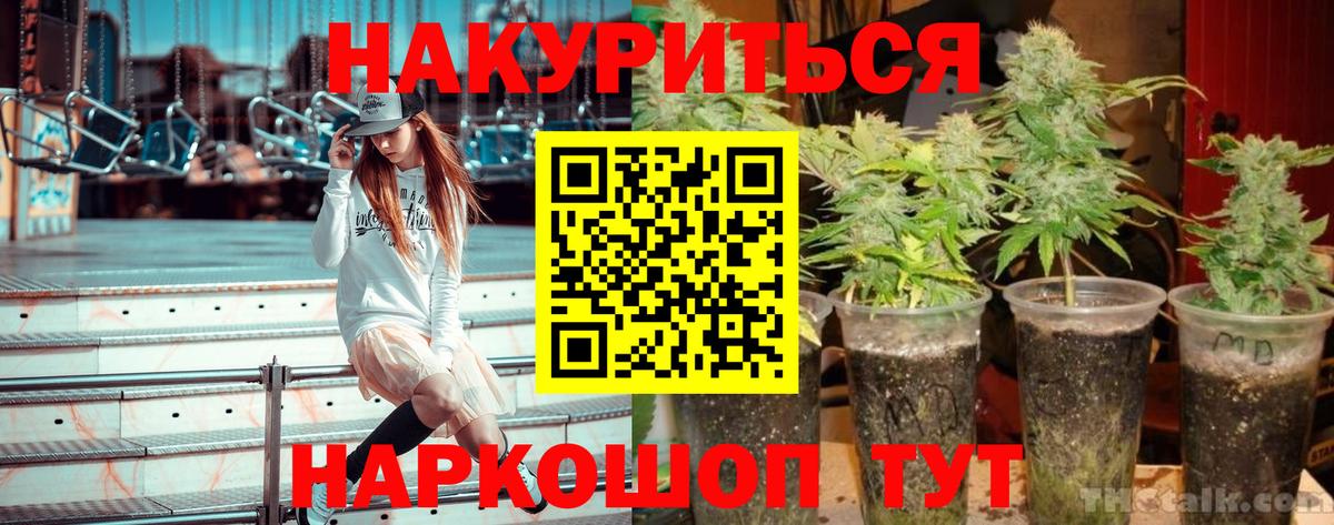 Шишки марихуана сатива Калуга